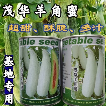 茂华羊角蜜种子酥脆香甜羊角蜜甜瓜羊角酥羊角脆甜瓜种子