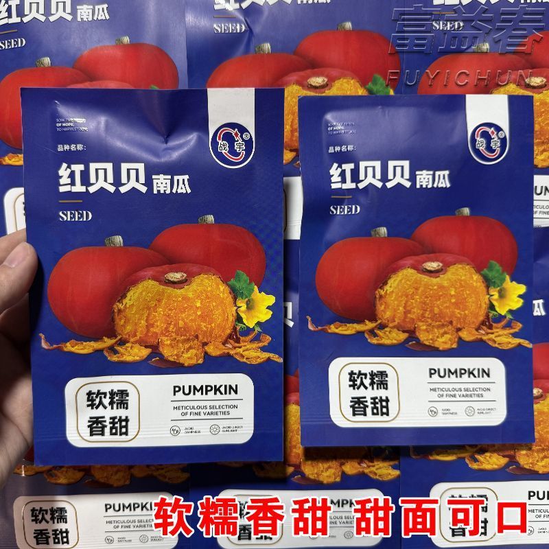 红贝贝南瓜种子果肉粉糯甜面软糯香甜小南瓜种子迷你型板栗味
