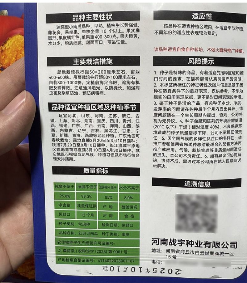 红贝贝南瓜种子果肉粉糯甜面软糯香甜小南瓜种子迷你型板栗味