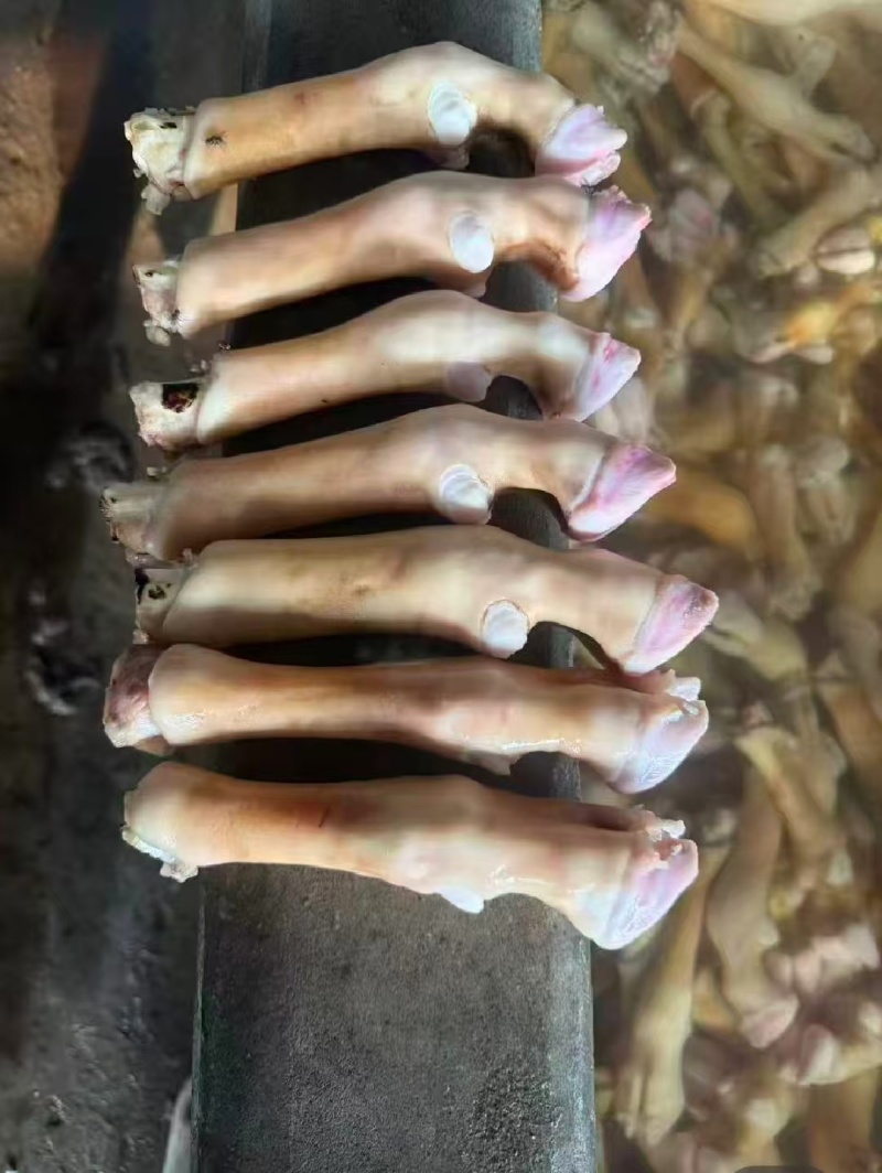 火烧育肥羊蹄带筋，拒绝科技与狠活