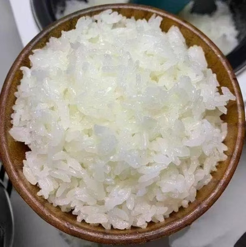 东北大米颗粒饱满稻花香按需包装规格齐全大量发货
