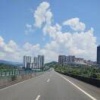 周飞的一亩田店铺