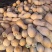 蜜本南瓜【优质南瓜】大量供应加工厂，食堂，商超