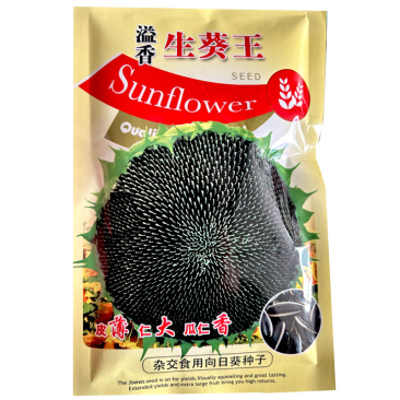 溢香生葵王种子葵花籽种籽食用向日葵长粒型黑白条纹