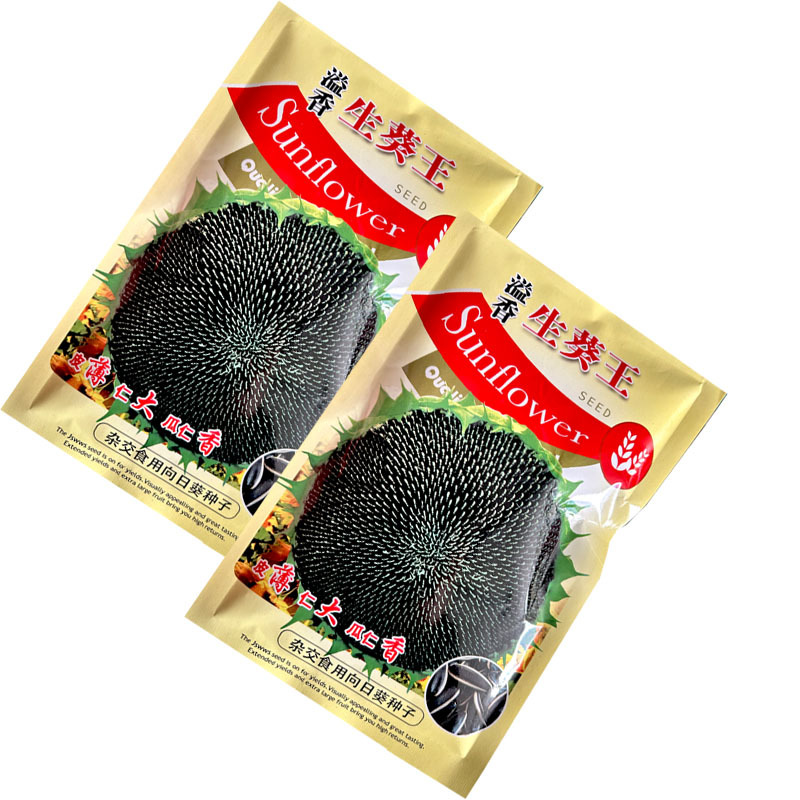 溢香生葵王种子葵花籽种籽食用向日葵长粒型黑白条纹
