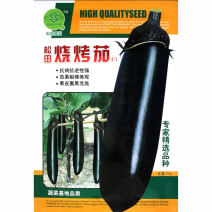 烧烤茄种子中早熟紫黑亮长茄甜糯细嫩皮薄烧烤茄子