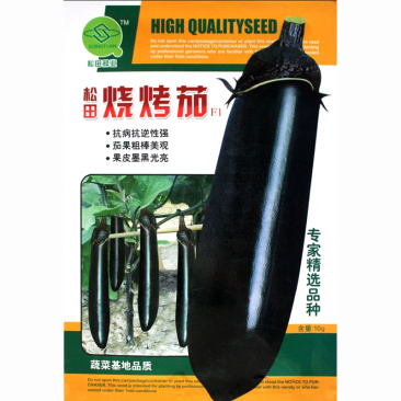 烧烤茄种子中早熟紫黑亮长茄甜糯细嫩皮薄烧烤茄子