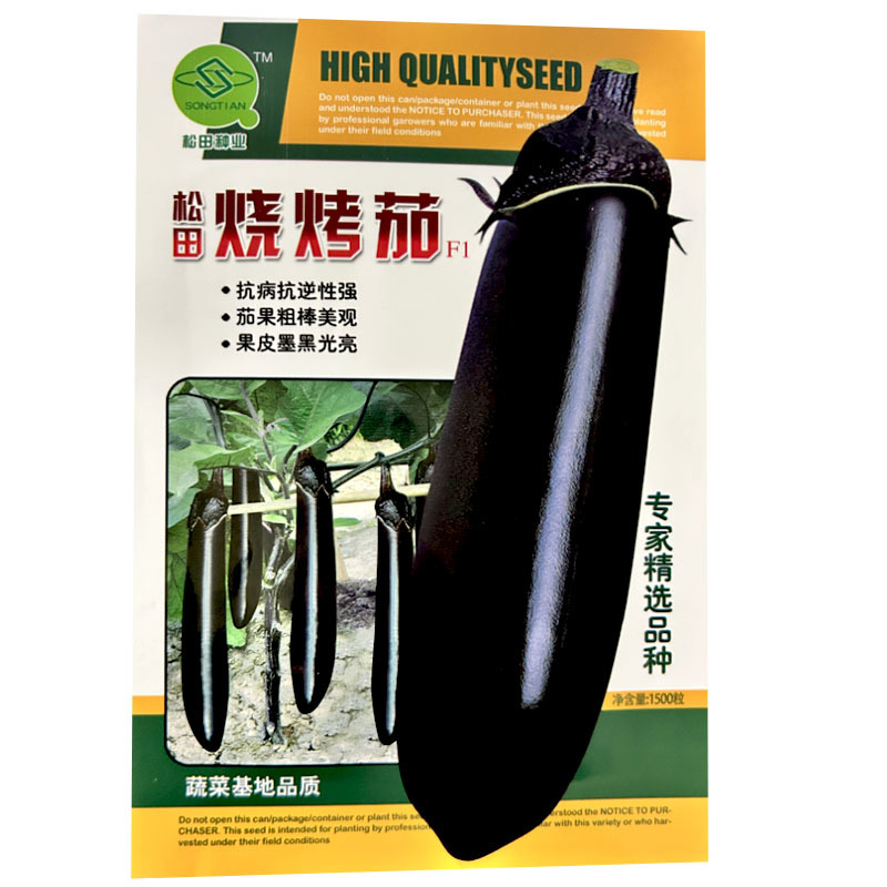 烧烤茄种子中早熟紫黑亮长茄甜糯细嫩皮薄烧烤茄子