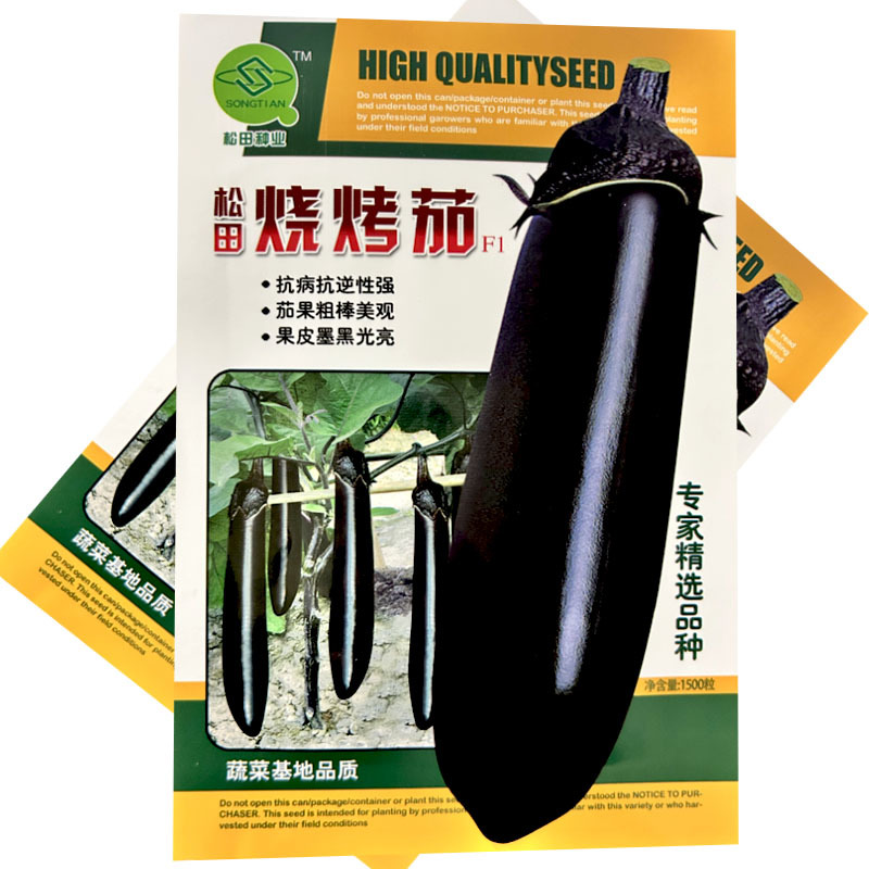 烧烤茄种子中早熟紫黑亮长茄甜糯细嫩皮薄烧烤茄子