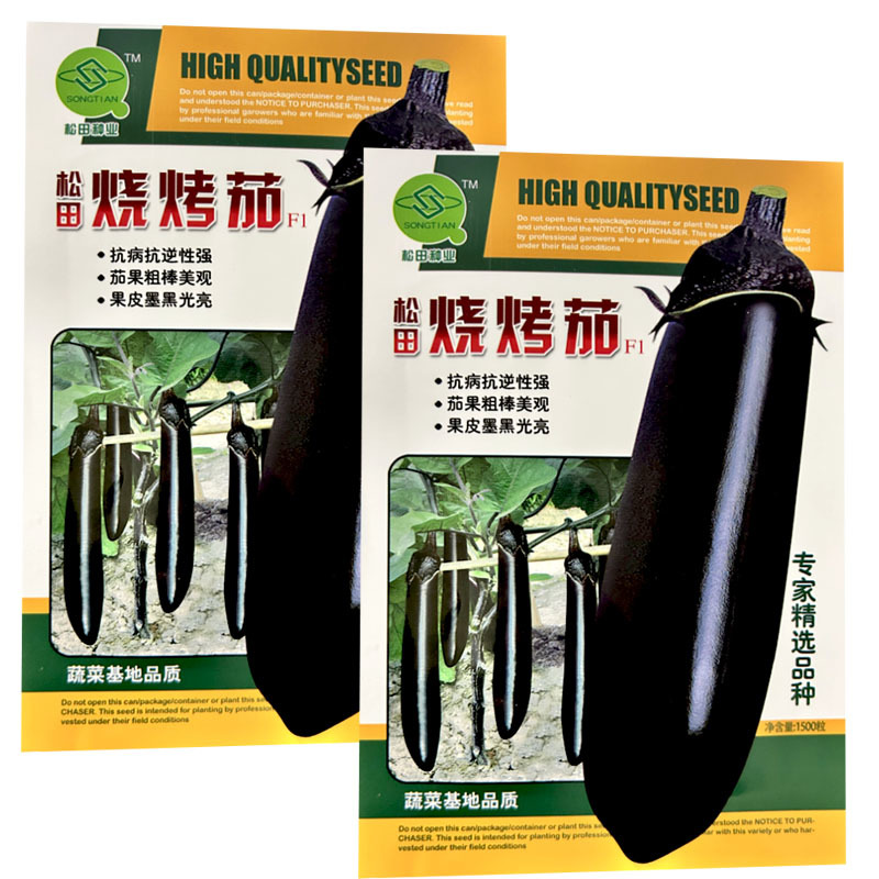 烧烤茄种子中早熟紫黑亮长茄甜糯细嫩皮薄烧烤茄子