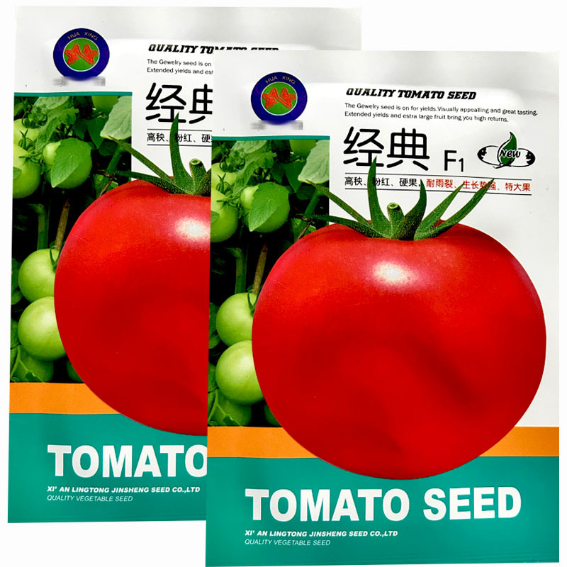经典番茄种子粉红硬果大果心腔小耐裂果露地大棚种植抗病性强