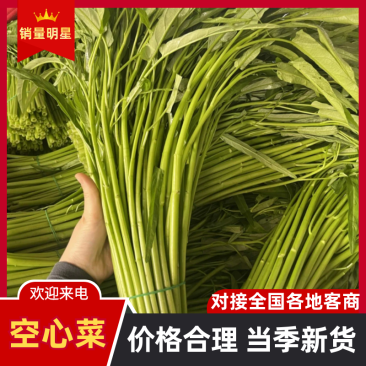 空心菜，广东空心菜，产地直发，一手货源