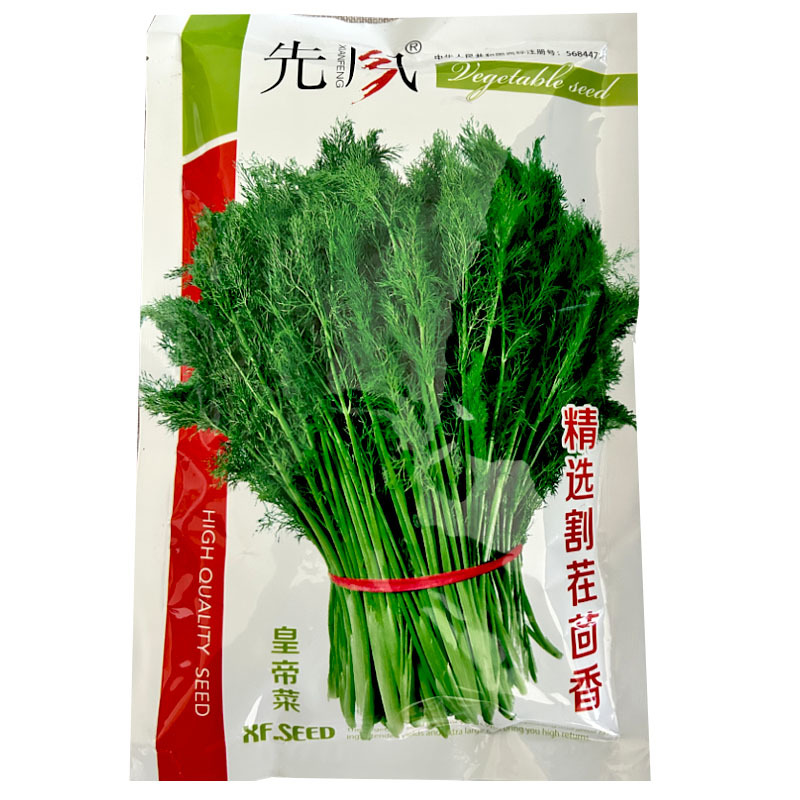 割茬茴香种子扁梗皇帝菜种籽连续收割2至5茬茴香种籽春秋播