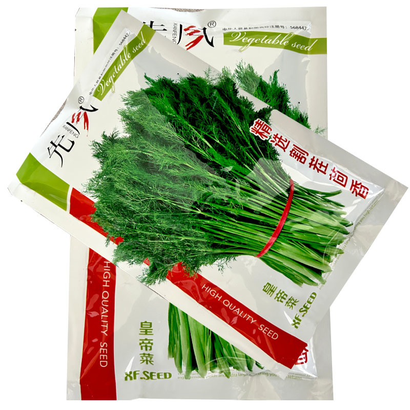 割茬茴香种子扁梗皇帝菜种籽连续收割2至5茬茴香种籽春秋播