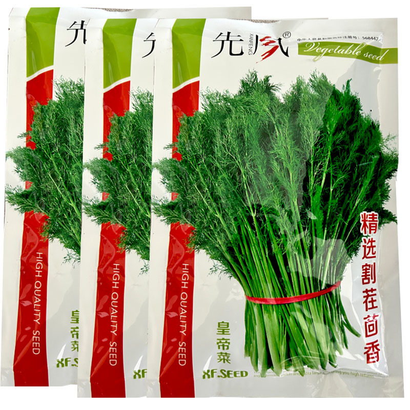 割茬茴香种子扁梗皇帝菜种籽连续收割2至5茬茴香种籽春秋播
