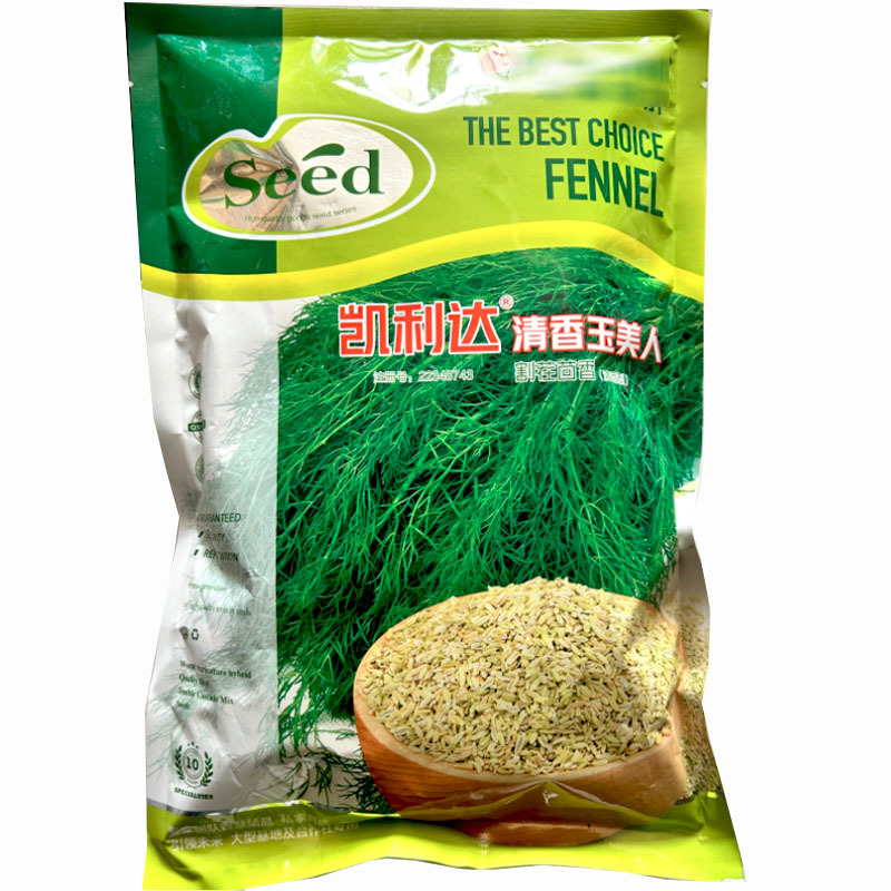凯利达清香玉美人割茬茴香种子清香型抗病能力强茎叶深绿有光
