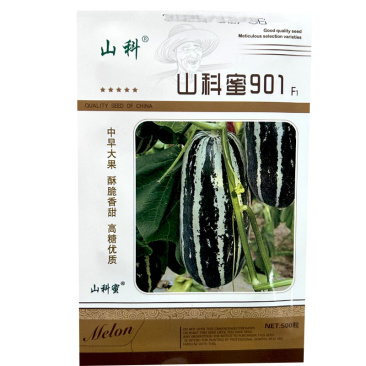 山科蜜901早熟大果薄皮甜瓜种子花皮浅绿肉脆甜香瓜籽