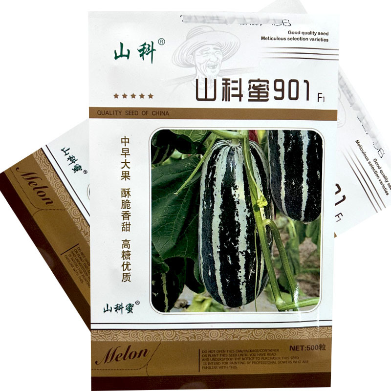 山科蜜901早熟大果薄皮甜瓜种子花皮浅绿肉脆甜香瓜籽