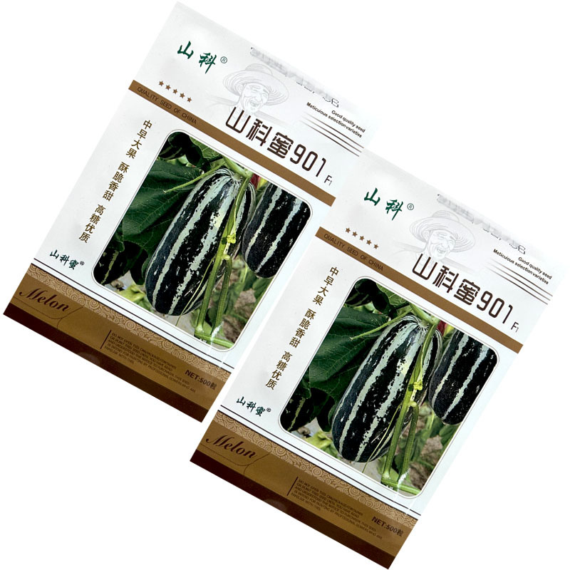 山科蜜901早熟大果薄皮甜瓜种子花皮浅绿肉脆甜香瓜籽