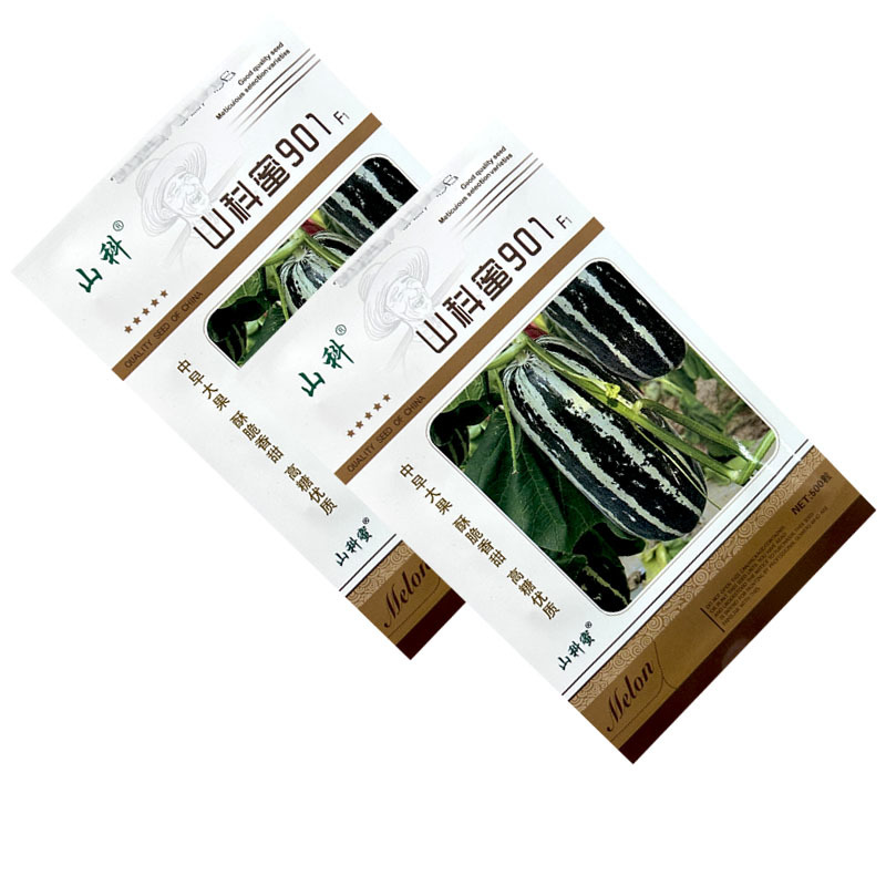 山科蜜901早熟大果薄皮甜瓜种子花皮浅绿肉脆甜香瓜籽