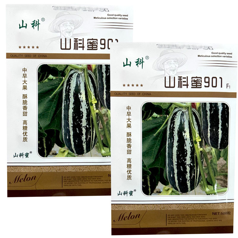 山科蜜901早熟大果薄皮甜瓜种子花皮浅绿肉脆甜香瓜籽