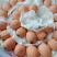 大五星枇杷/产地直发/品质保证/实力商家/欢迎合作