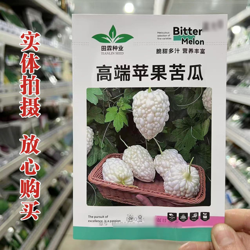 高端苹果苦瓜种子水晶白苦瓜种子耐高温高产苹果白圆苦瓜籽