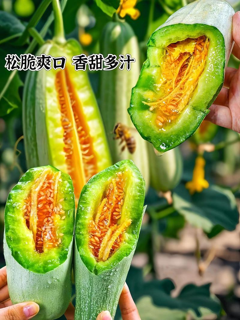 羊角蜜博洋61全国主产区赶集电商商超一手货源