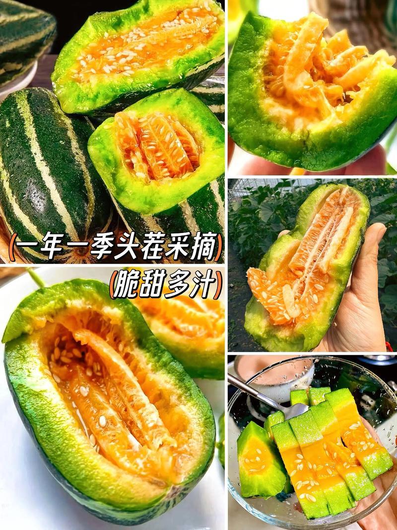 博洋9号61甜瓜/品种多规格全/产地直发/一手货源