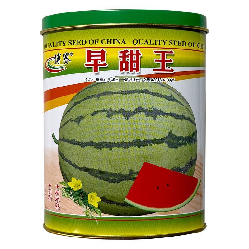 抗重茬早甜王西瓜种子早熟皮薄抗裂薄皮红瓤圆形高纯甜西瓜种