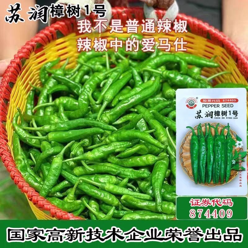 樟树港辣椒种子苏润樟树1号短羊角椒薄皮香辣绿皮青椒辣椒种