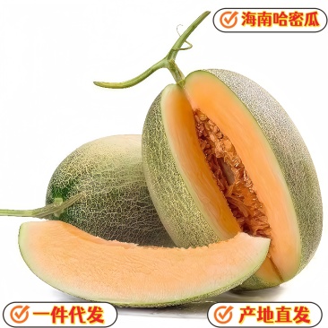 电商供应链一件代发海南哈密瓜当季热带现摘水果供应电商平