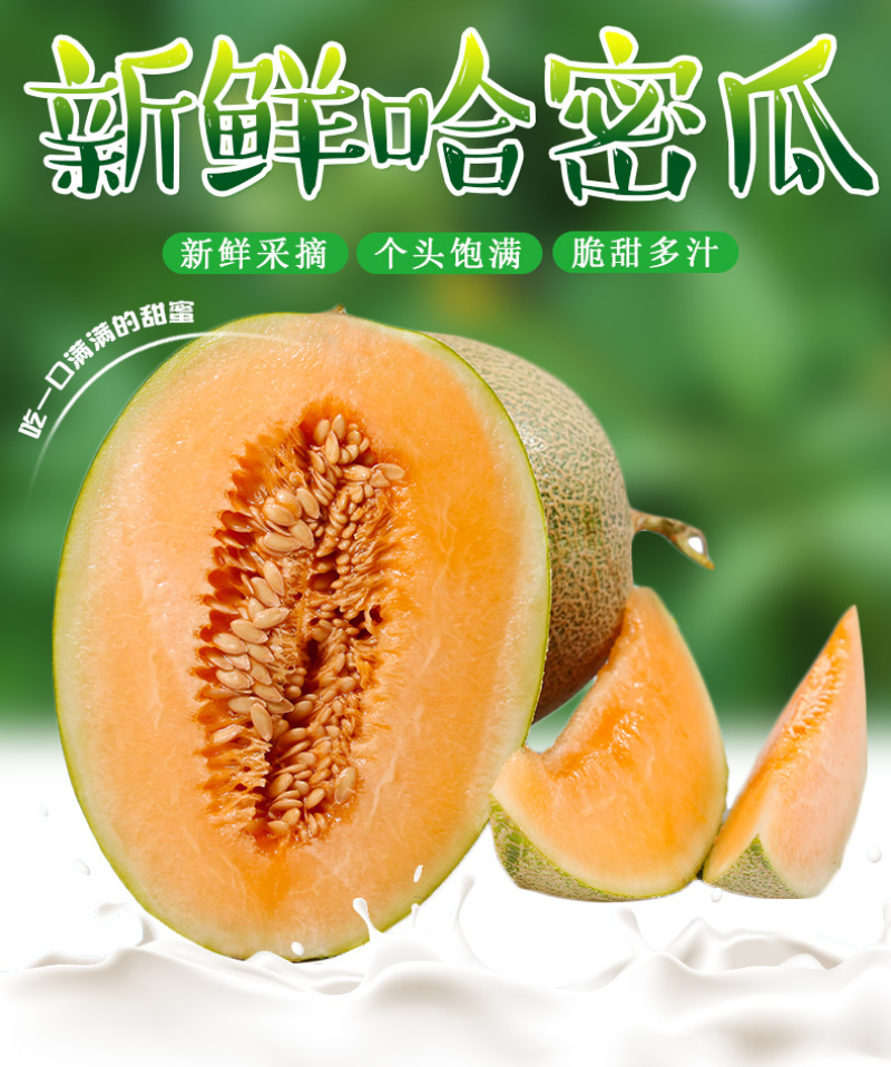电商供应链一件代发海南哈密瓜当季热带现摘水果供应电商平