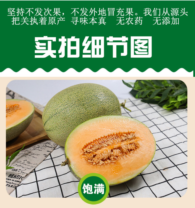 电商供应链一件代发海南哈密瓜当季热带现摘水果供应电商平