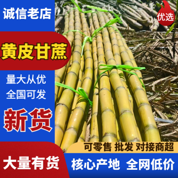 云南黄皮甘蔗新鲜上市价格美丽对接全国量大从优欢迎询价