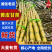 云南黄皮甘蔗新鲜上市价格美丽对接全国量大从优欢迎询价