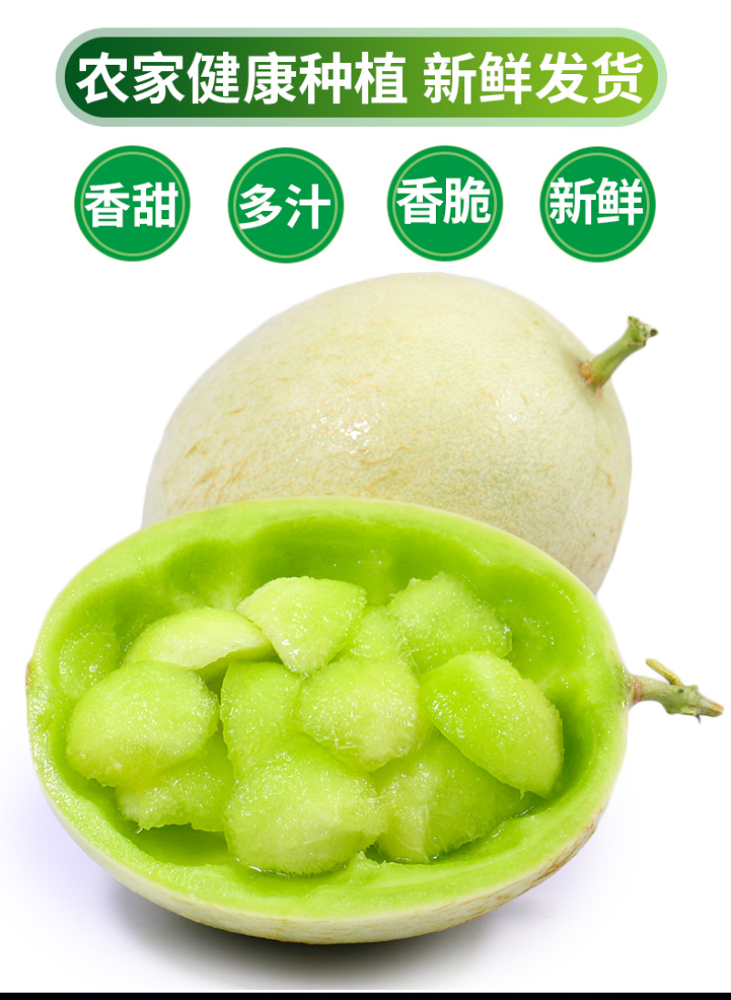 海南玉菇甜瓜对接电商一件代发专业供应链供直播等各大平台