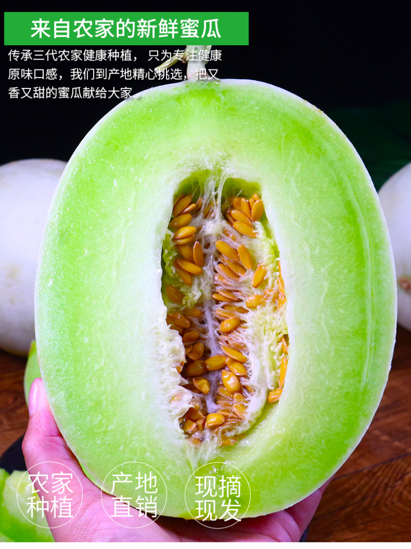 海南玉菇甜瓜对接电商一件代发专业供应链供直播等各大平台