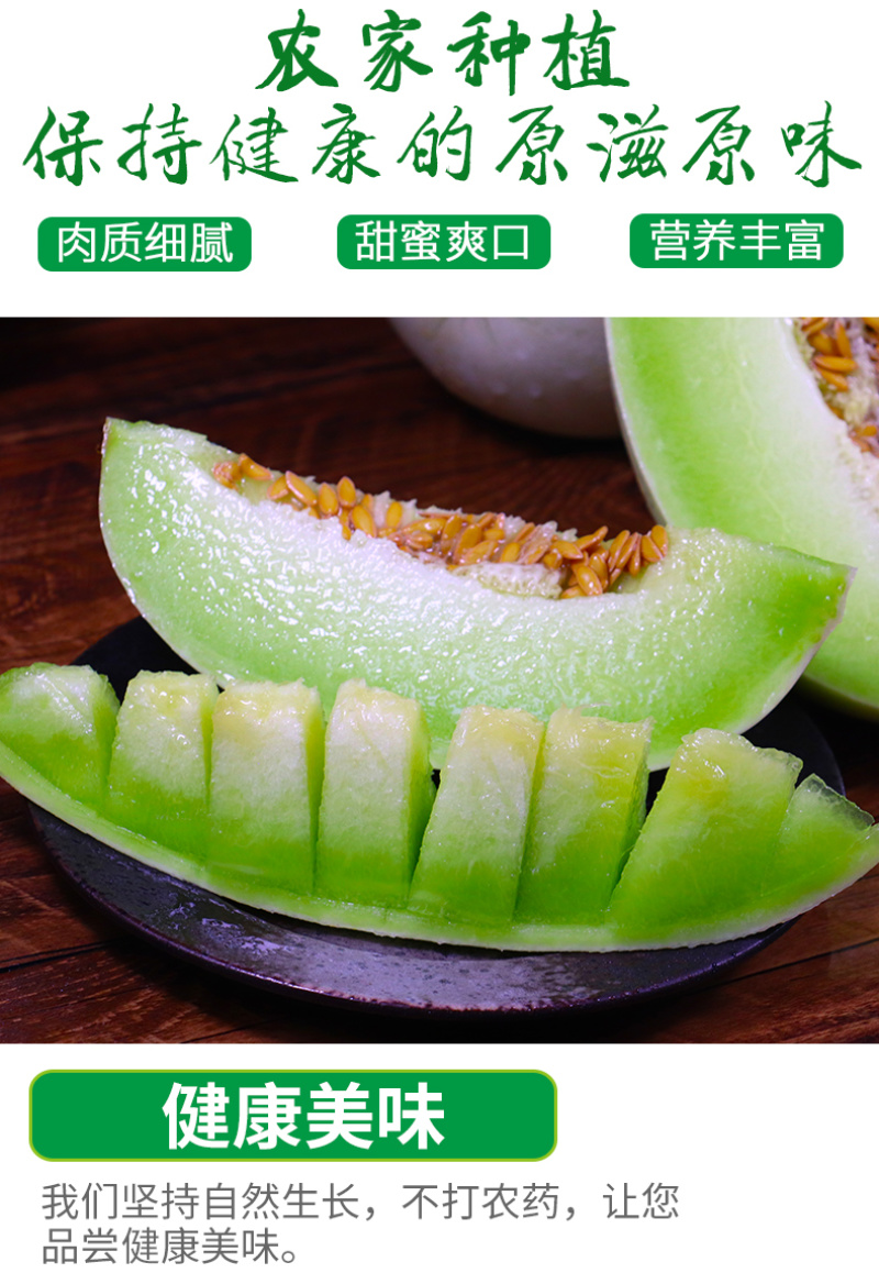 海南玉菇甜瓜对接电商一件代发专业供应链供直播等各大平台