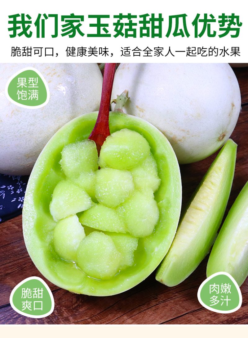 海南玉菇甜瓜对接电商一件代发专业供应链供直播等各大平台