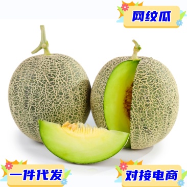 海南网纹瓜专业供应链对接电商各大平台一件代发当季爆甜水果