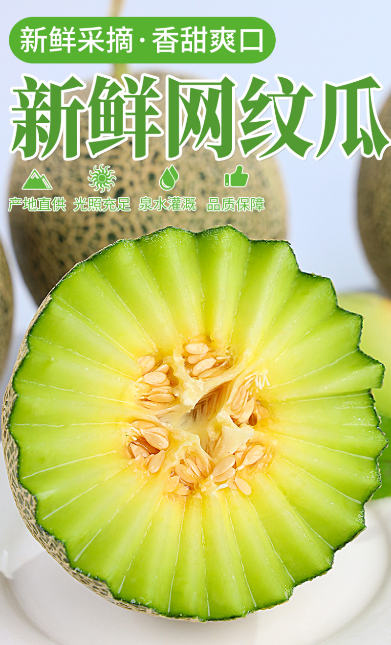 海南网纹瓜专业供应链对接电商各大平台一件代发当季爆甜水果