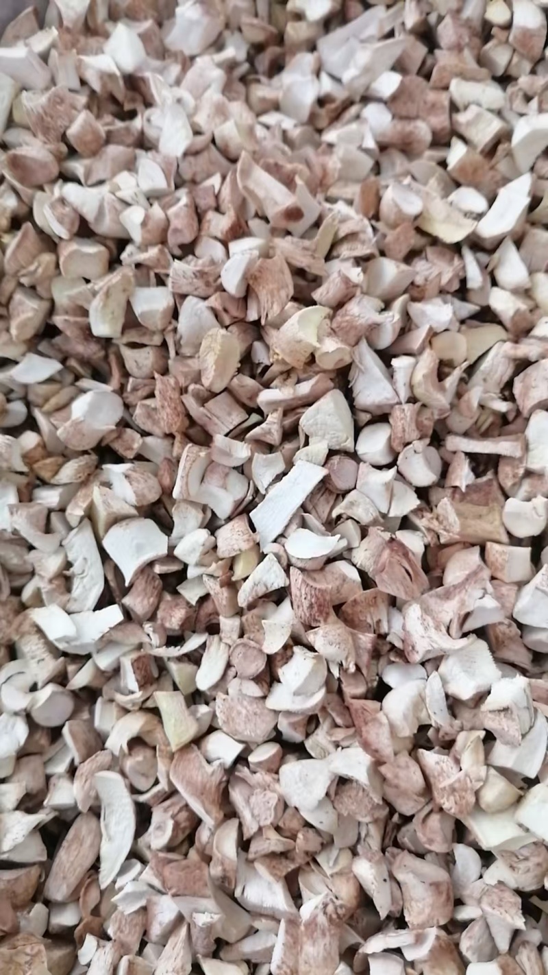 河北干香菇可定制加工香菇丁颗粒单捡打磨抛光可视频