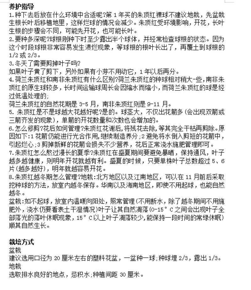 重瓣朱顶红仙女妮芙重瓣多年生对版阳台室内庭院地栽
