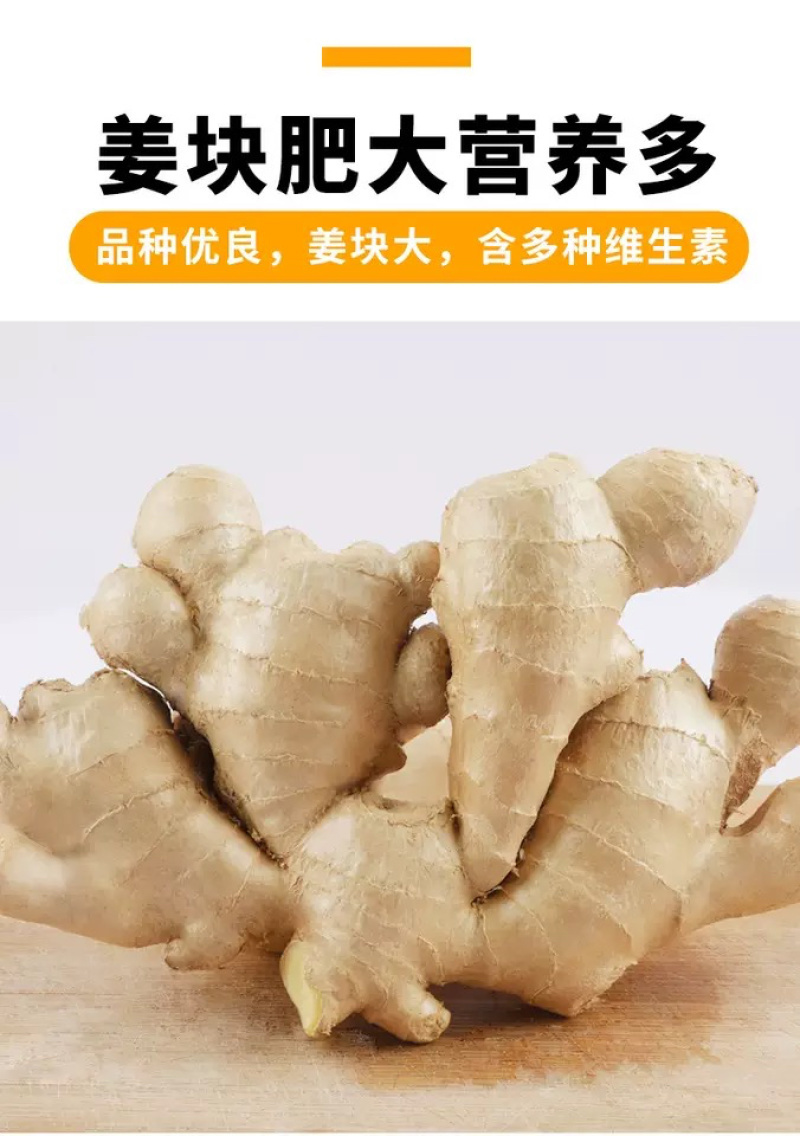河南精品大黄姜源头种植/冷库存放/量大从优/可视频看货