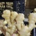 河南精品大黄姜源头种植/冷库存放/量大从优/可视频看货