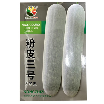 粉皮大冬瓜种子粉皮三号大冬瓜种籽中晚熟耐热冬瓜