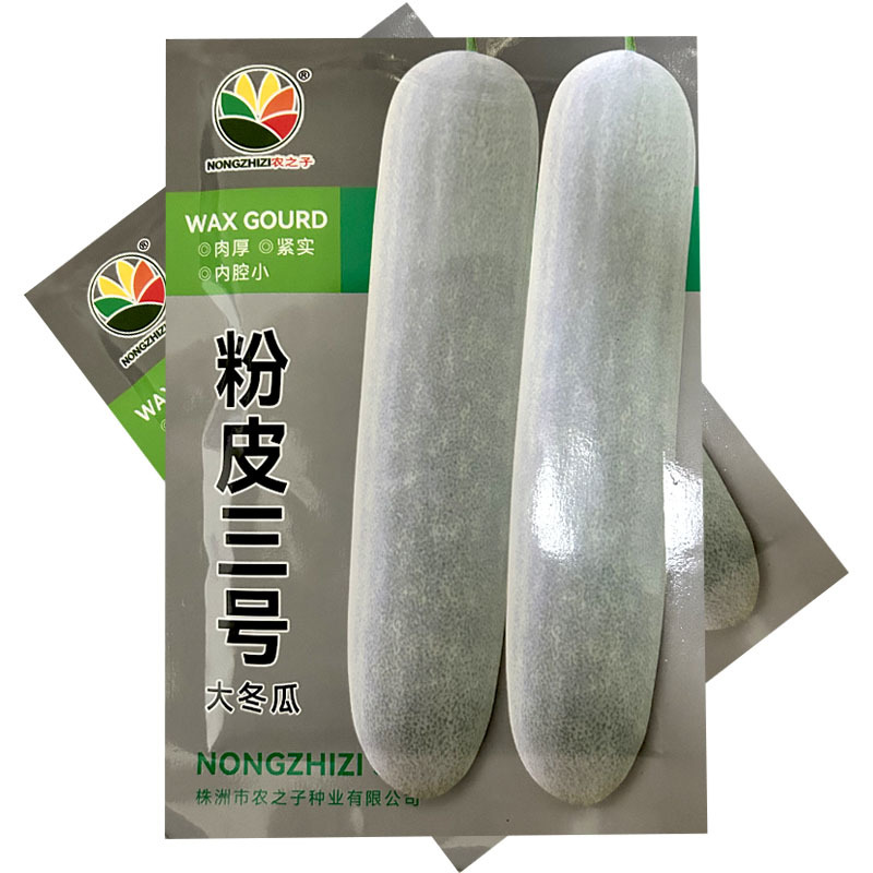 粉皮大冬瓜种子粉皮三号大冬瓜种籽中晚熟耐热冬瓜