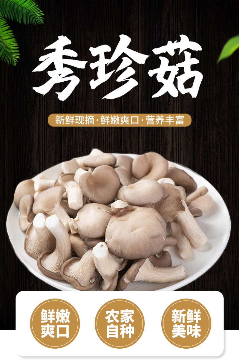 河北精品食用菌秀珍菇/量大从优/可视频看货/欢迎下单