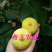 新疆早黄无花果苗耐寒抗冻早熟无花果树苗现挖发货